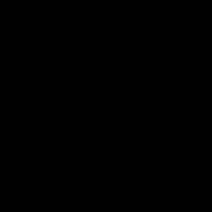 Meet your Posher, Korey